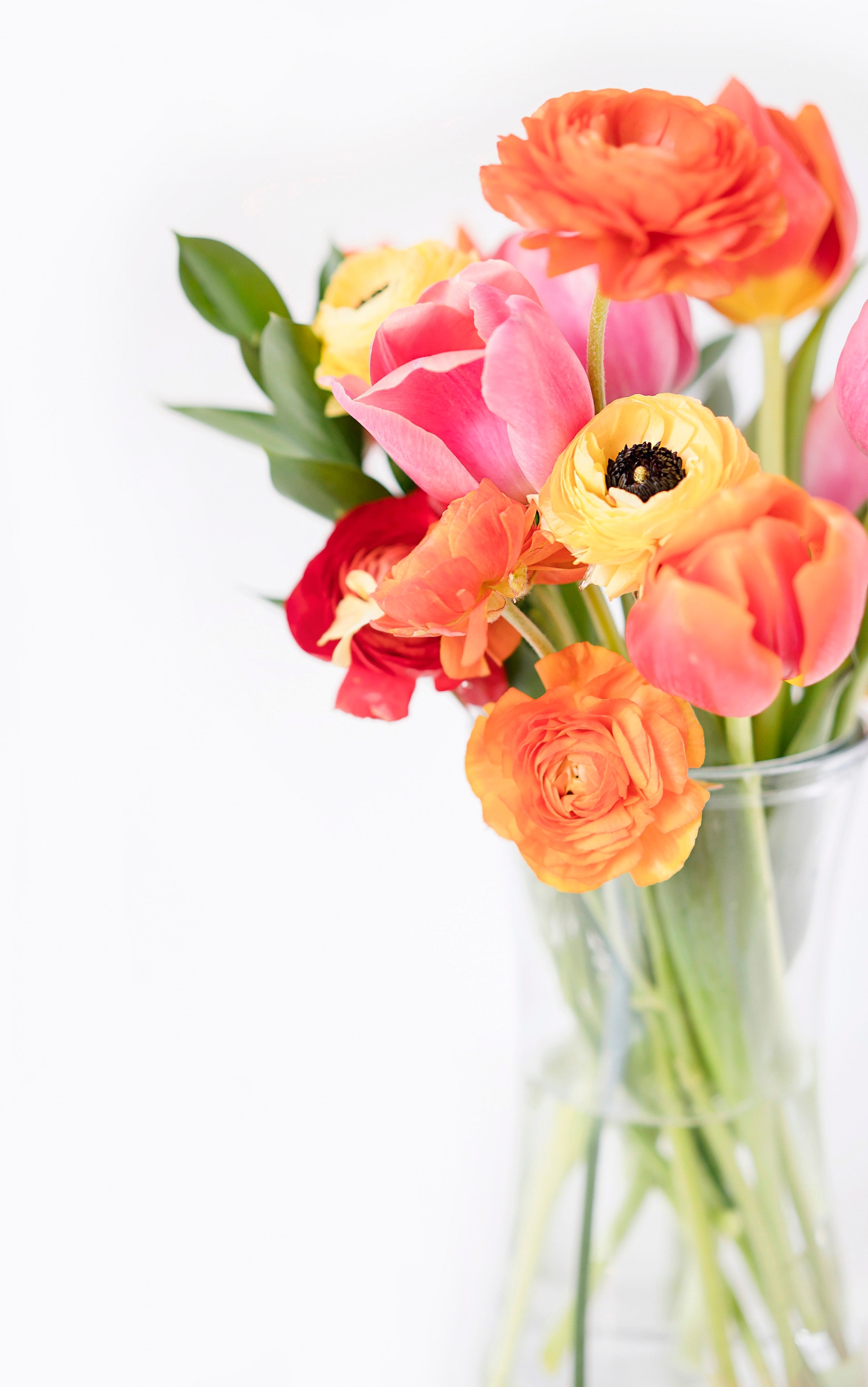 gorgeous flowers in a vase